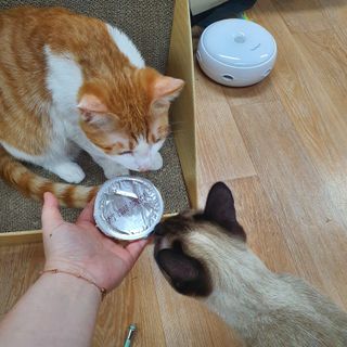 공팔럽님이 올린 리뷰 사진 1