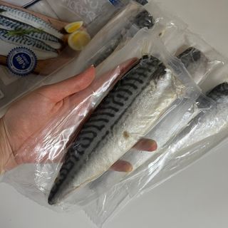 ㈜금호통상 노르웨이 고등어 900g (6~10편) — 4.5점을 준 리뷰어가 2023년 6월 올린 사용 사진