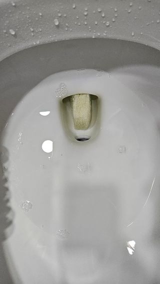 [3M] 스카치브라이트 크린스틱 향기톡톡 변기청소 핸들1 + 리필 16개 (라벤더/레몬 중 택1) — 3점을 준 리뷰어가 2024년 8월 올린 사용 사진