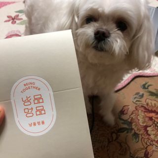 O_zl님이 올린 리뷰 사진 2