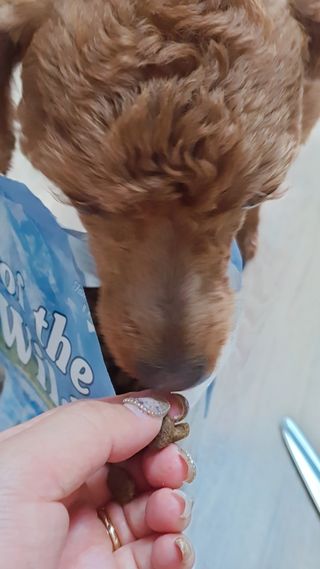 하늘아님이 올린 리뷰 사진 3