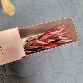 영주님이 올린 리뷰 사진 2