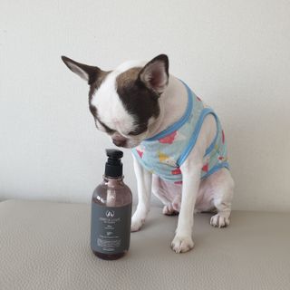 마리앤루이펫샴푸 [mari and louie pet shampoo] — 5점을 준 리뷰어가 2021년 6월 올린 사용 사진