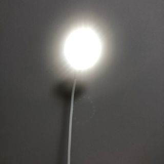 라니님이 올린 리뷰 사진 2