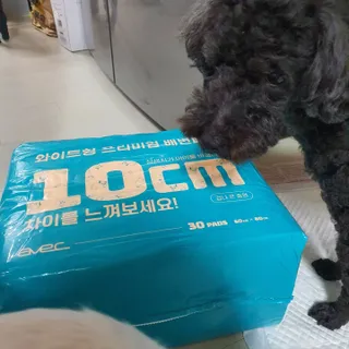 아베크 펫 와이드 프리미엄 대형 애견 강아지 배변 패드 30매 1팩 80g — 5점을 준 리뷰어가 2021년 7월 올린 사용 사진