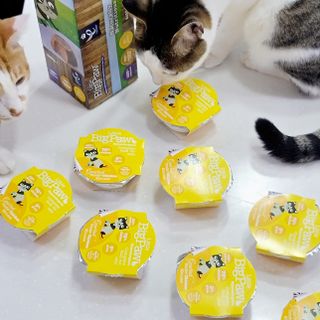 jenny님이 올린 리뷰 사진 1
