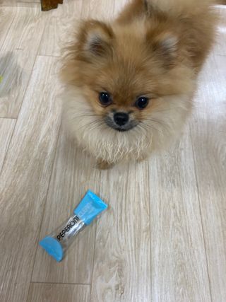 페페로니 2종 세트 클린플러스 덴탈껌 치킨+덕 — 5점을 준 리뷰어가 2021년 8월 올린 사용 사진