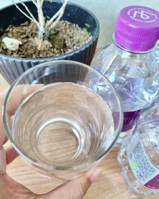 몽베스트 [MONTBEST] 330mL 20병 — 5점을 준 리뷰어가 2023년 7월 올린 사용 사진