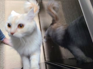 미랭님이 올린 리뷰 사진 2