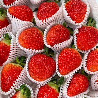 옳음 딸기 논산 설향 딸기 900g 산지직송 — 5점을 준 리뷰어가 2021년 1월 올린 사용 사진