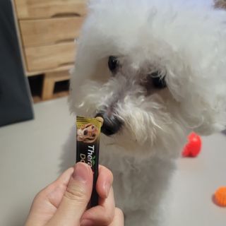 ❤꼬네우니🧡님이 올린 리뷰 사진 1