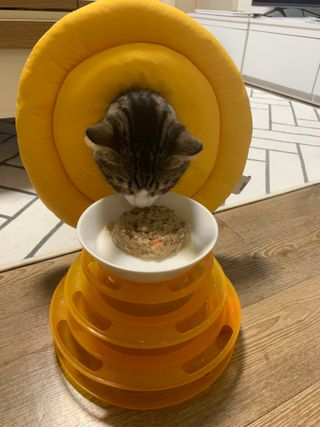 황치노님이 올린 리뷰 사진 3
