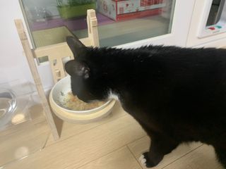 manu님이 올린 리뷰 사진 3