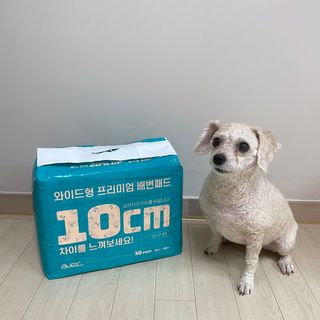 아베크 펫 와이드 프리미엄 대형 애견 강아지 배변 패드 30매 1팩 80g — 5점을 준 리뷰어가 2021년 7월 올린 사용 사진