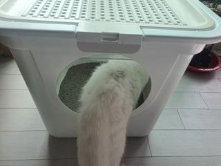 파비올라님이 올린 리뷰 사진 1