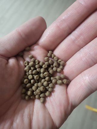 마시멜로님이 올린 리뷰 사진 3