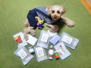 란아님이 올린 리뷰 사진 1