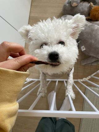 정주리님이 올린 리뷰 사진 3