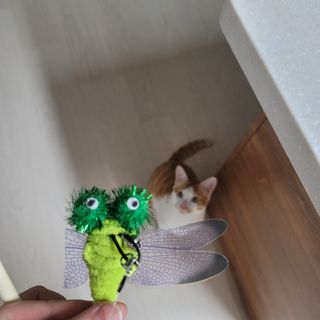 쓔리님이 올린 리뷰 사진 1