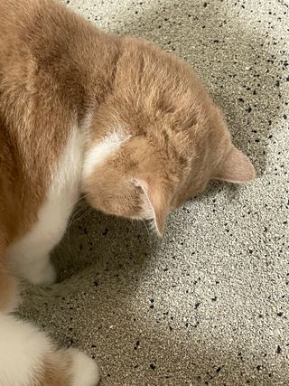 B님이 올린 리뷰 사진 1