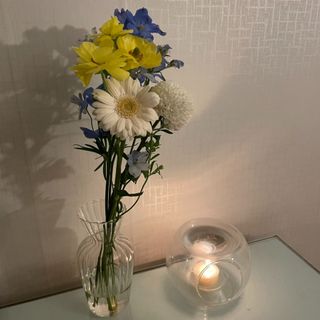 강아지는이제안귀여워님이 올린 리뷰 사진 1