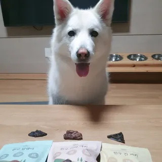 딸랑구둘🥰님이 올린 리뷰 사진 1