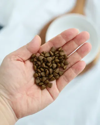 달바라기님이 올린 리뷰 사진 4