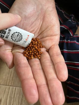 푸름웰니스 부아메라 프로폴리스 도라지 호흡편환 20포 — 5점을 준 리뷰어가 2022년 3월 올린 사용 사진