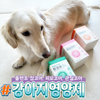 PDKIM님이 올린 리뷰 사진 1