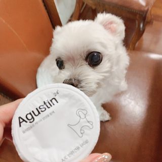 정이님이 올린 리뷰 사진 4