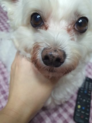 쮸동비님이 올린 리뷰 사진 1