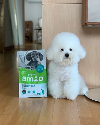 윤긍정님이 올린 리뷰 사진 2