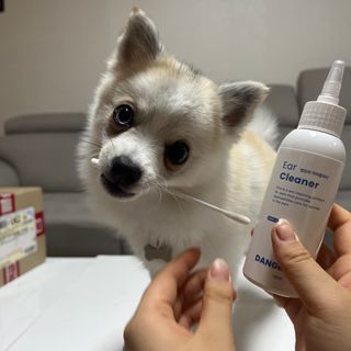 [댕모어 클리너 3종] 아이클리너 / 이어클리너 / 덴탈클리너 3종 세트 (120ml) — 5점을 준 리뷰어가 2023년 11월 올린 사용 사진