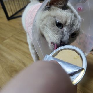 김주사랑님이 올린 리뷰 사진 1