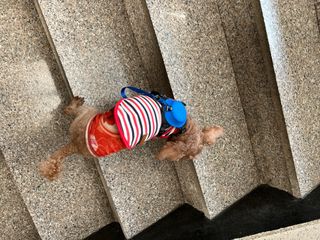 행복나무님이 올린 리뷰 사진 4