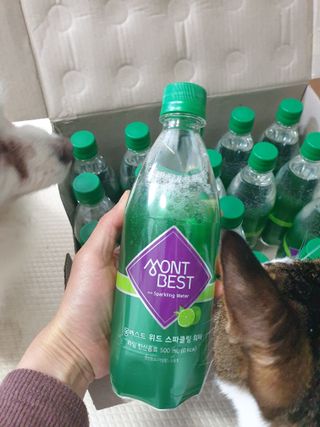 몽베스트 Montbest with Sparkling water Lime20병 — 5점을 준 리뷰어가 2023년 3월 올린 사용 사진