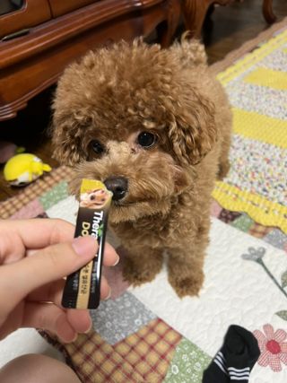 햄슨님이 올린 리뷰 사진 3