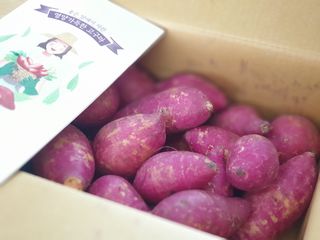 박루씨님이 올린 리뷰 사진 2