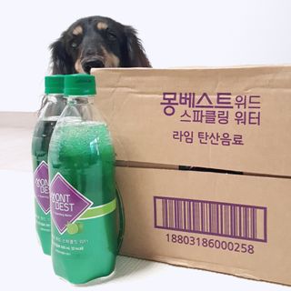 몽베스트 Montbest with Sparkling water Lime20병 — 5점을 준 리뷰어가 2022년 8월 올린 사용 사진