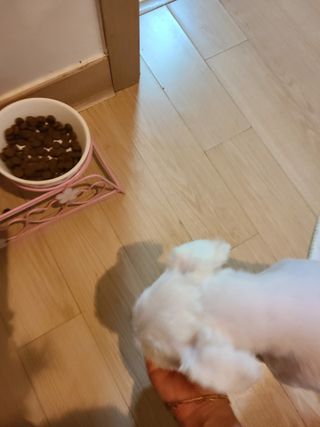랴슈벨라님이 올린 리뷰 사진 3