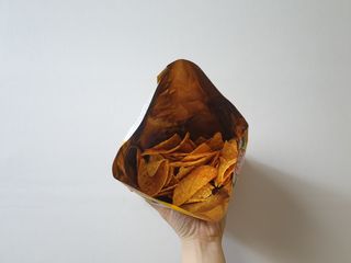 숟이님이 올린 리뷰 사진 2