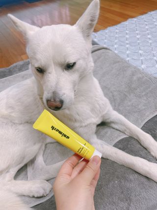 Jenny님이 올린 리뷰 사진 2