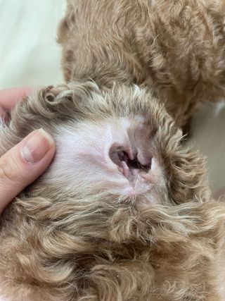 숙블리님이 올린 리뷰 사진 2