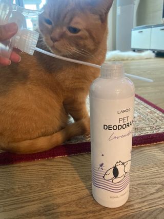 syjuknow님이 올린 리뷰 사진 2