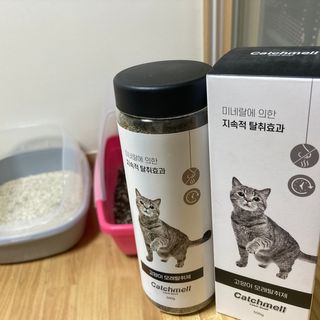 앙주비님이 올린 리뷰 사진 1
