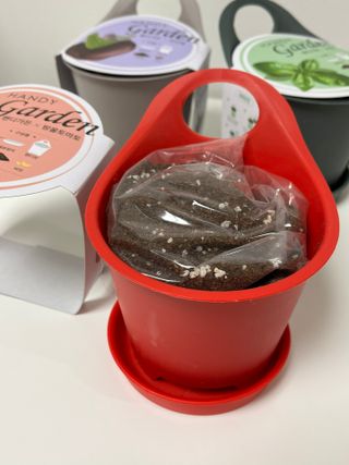 하노리님이 올린 리뷰 사진 2