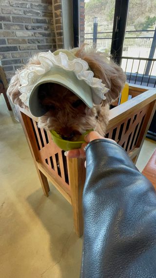harumom님이 올린 리뷰 사진 3