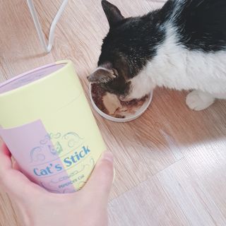 초동이님이 올린 리뷰 사진 1