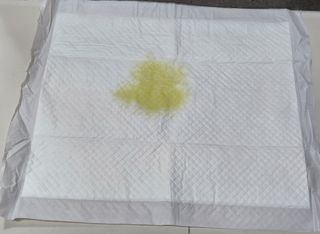 릴리천사님이 올린 리뷰 사진 2