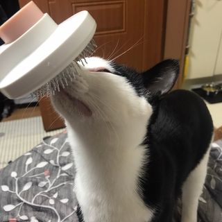 쎄미님이 올린 리뷰 사진 1